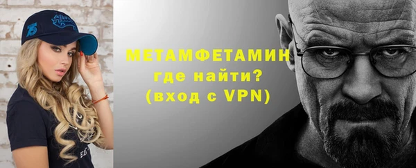 прущие грибы Верхний Тагил