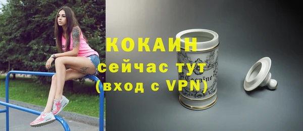 прущие грибы Верхний Тагил