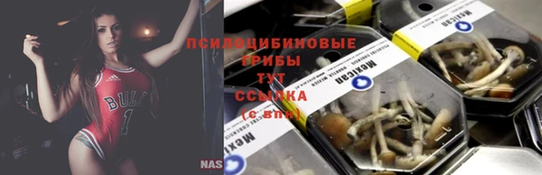 прущие грибы Верхний Тагил