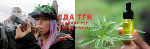 прущие грибы Верхний Тагил
