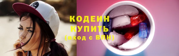 мдпв Верея