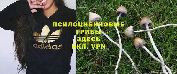 мдпв Верея