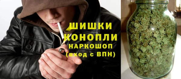 мдпв Верея