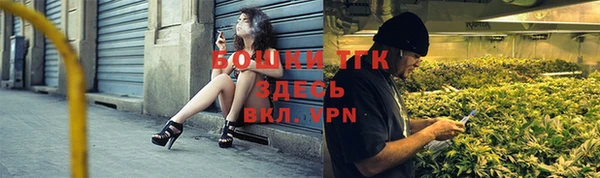 прущие грибы Верхний Тагил