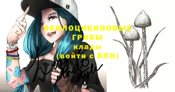 мдпв Верея