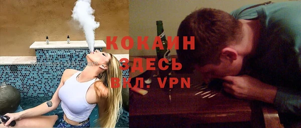 гидра Вяземский