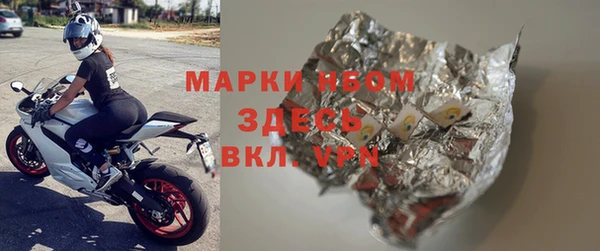 гидра Вяземский
