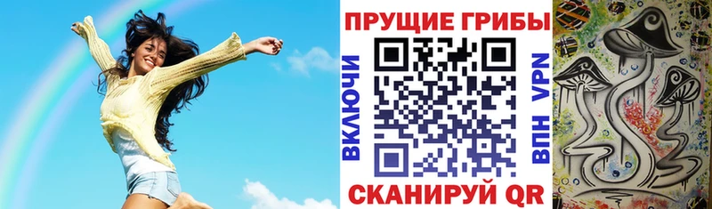 Купить где Тихвин Галлюциногенные грибы ЛСД